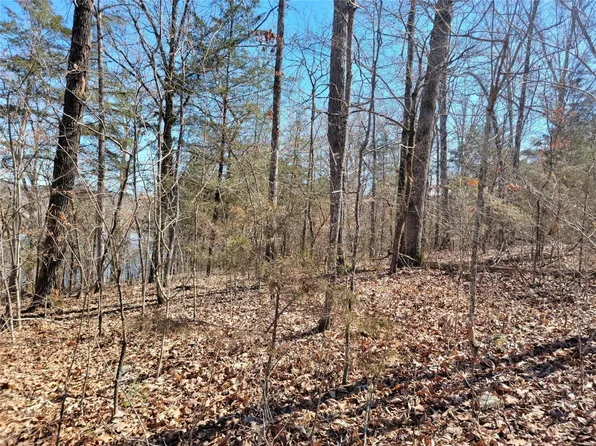 0 Deer Run Flt #2-lot 10, Van Buren, MO 63965