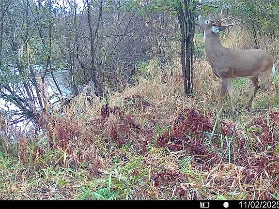 4th image of 0 S Lowes Creek Road