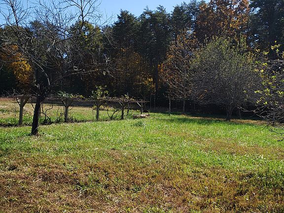 Grape vines next to pasture 