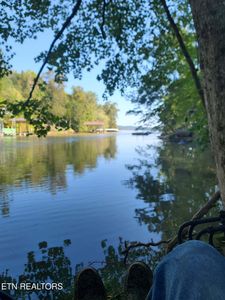 675 Blue Water Trl, Spring City, TN, 37381