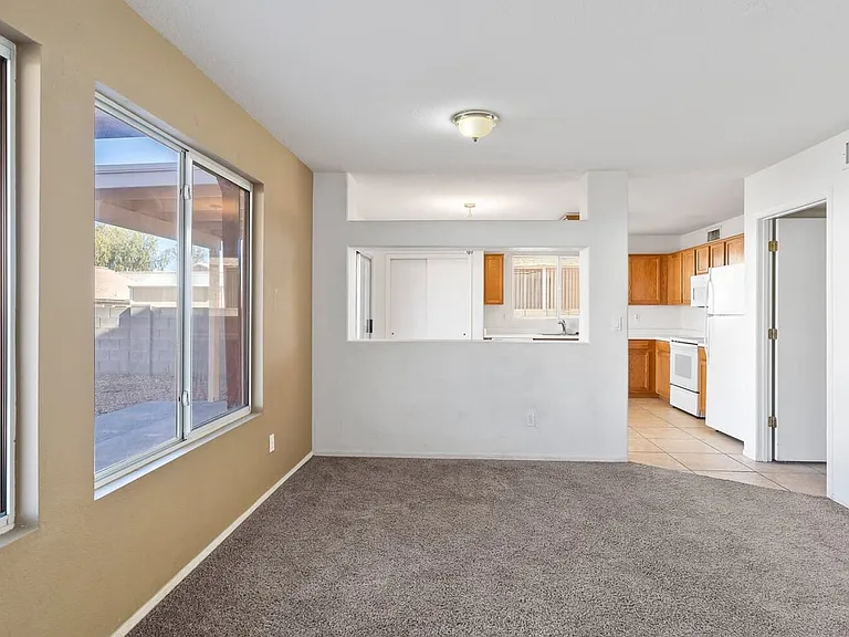 8238 S Placita Del Parque — Photo 9