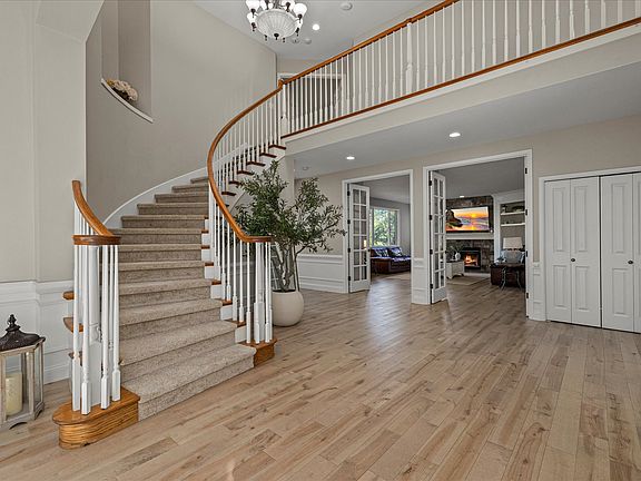 Foliar , high ceiling with skylights