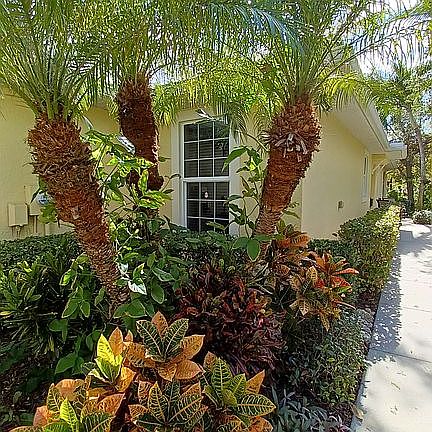 4th image of 9977 Palmarrosa Way