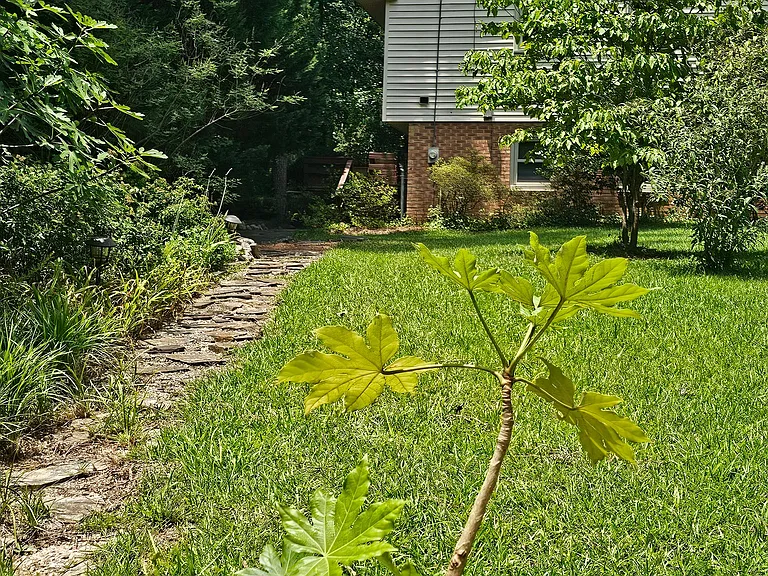 3212 Fairforest Pl #2 — Photo 2