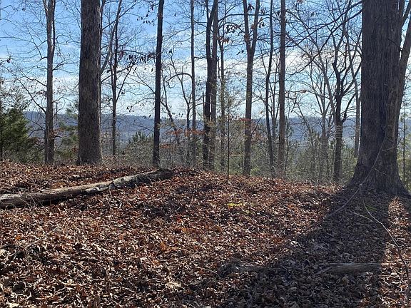 5th image of 0 County Road 47