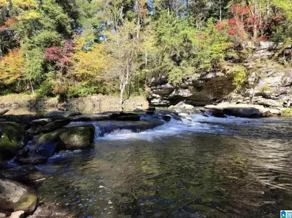 Bluegrass Ln #22, Jasper, AL 35503