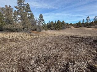 1046 Crooked Road, Pagosa Springs, CO 81147