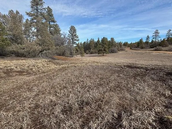 1046 Crooked Road, Pagosa Springs, CO 81147