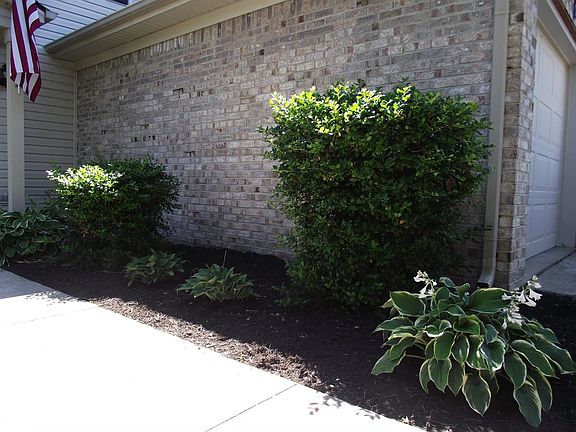 5th image of 431 Colby Ridge Blvd
