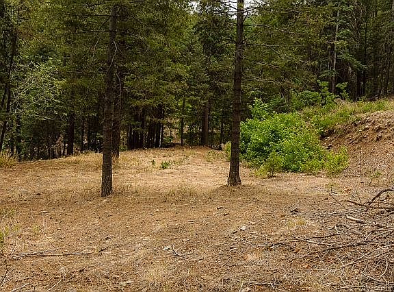 Pad for dream cabin?