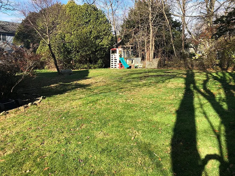 Back yard