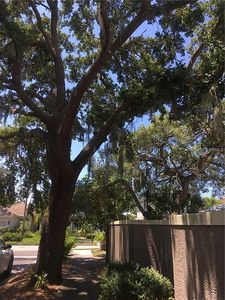 3648 Jacinto Ct, Sarasota, FL, 34239