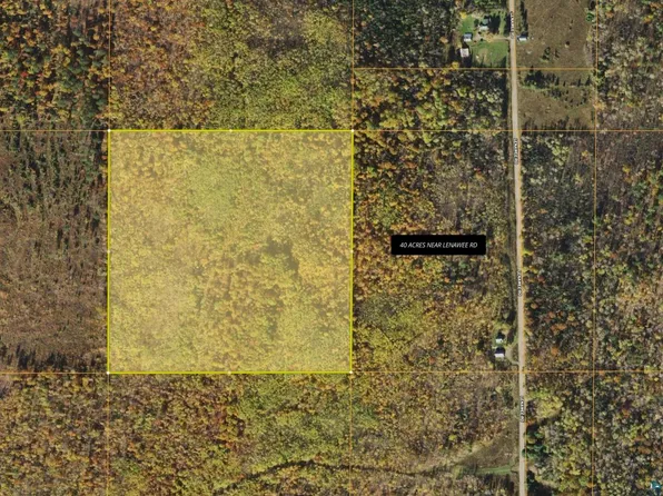40 Acres near Lenawee ROAD, CLOVER, WI 54844
