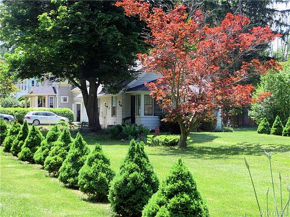 3rd image of 491 Linden Ave