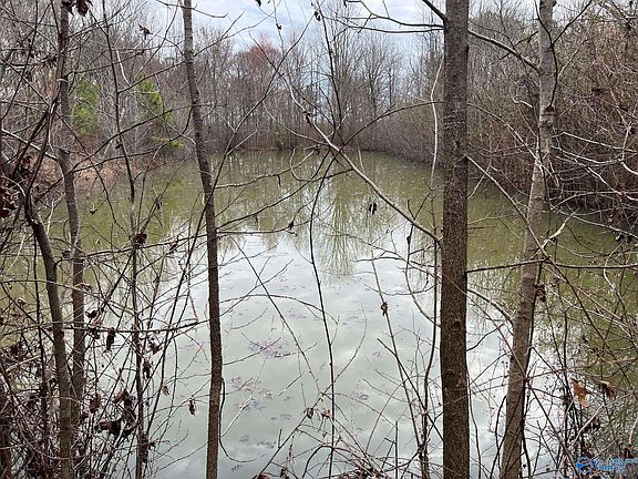 4th image of Moores Mill Rd NE