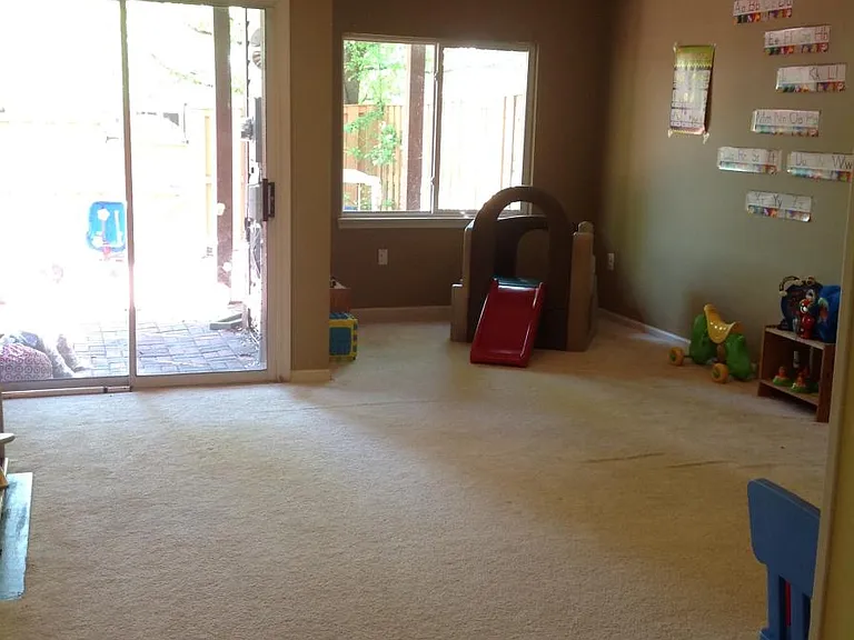 Basement - Family room with fire place