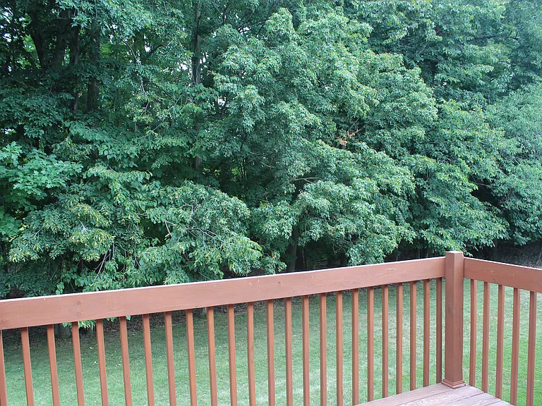 Backyard view from deck