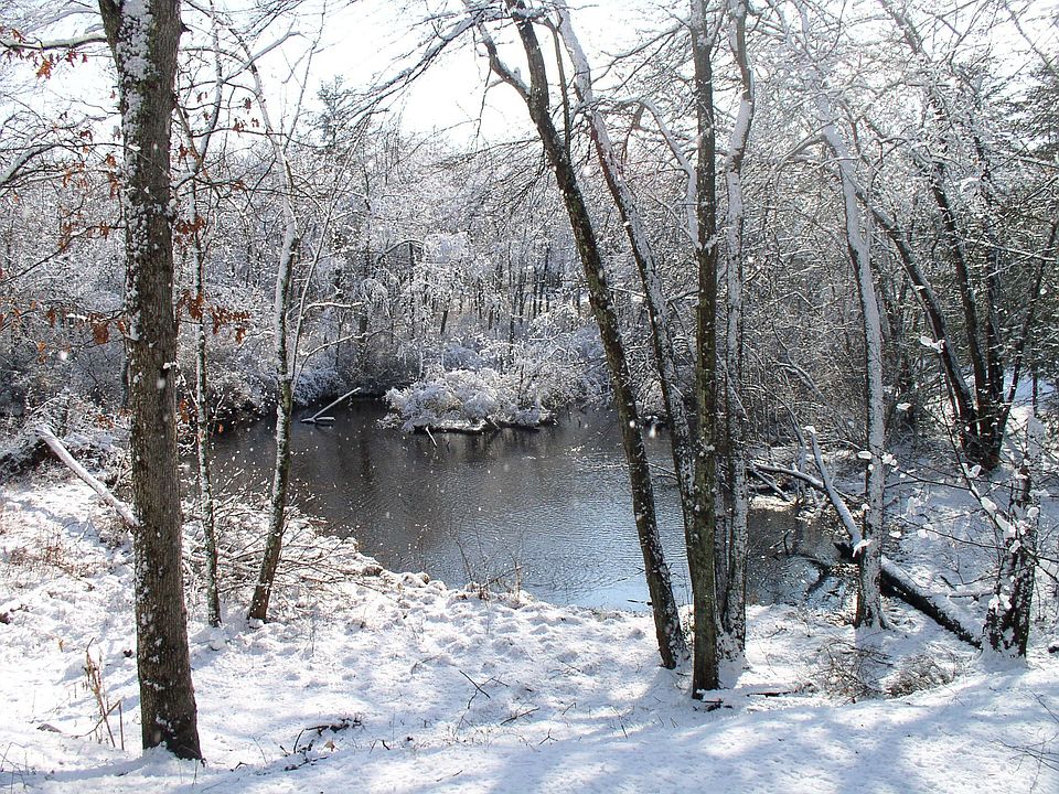 the pond in winter