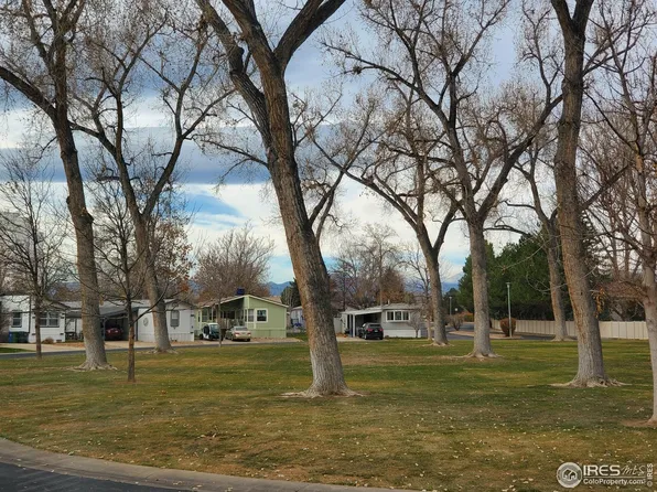 1166 Madison Ave #210, Loveland, CO 80537