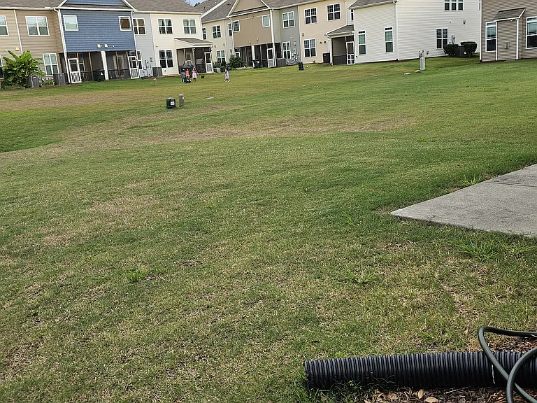 Big backyard