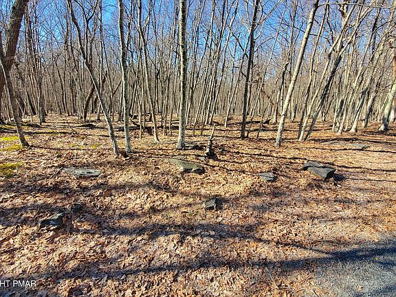 3rd image of 155 Cardinal Dr