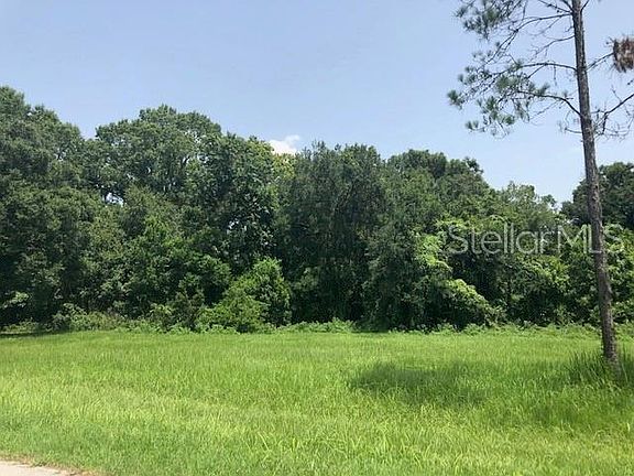 5th image of 12810 Sweet Magnolias Ln