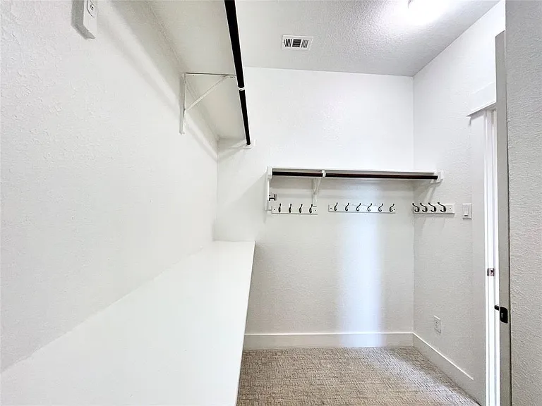 3009 Lions Tail St — Photo 29