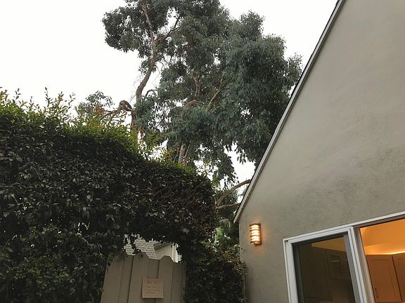 Trees around outdoor area