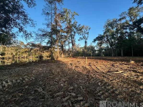 14245 Old River Rd, Maurepas, LA 70449