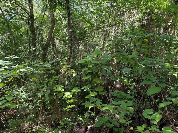 0 SE 118TH PLACE LOT 05, BELLEVIEW, FL 34420