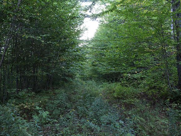 4th image of 38 Johnson Hill Road