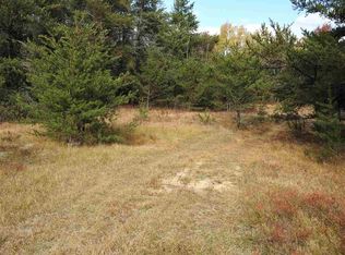 11031 Baldwin Rd, Roscommon, MI 48653