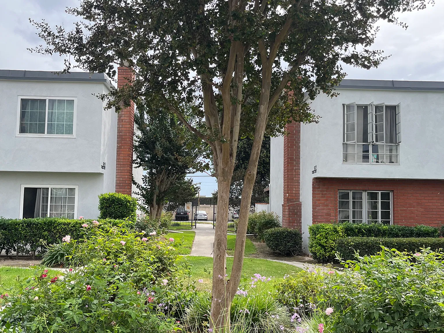 4 bed, 1440 sqft, $3,600 — Photo 4