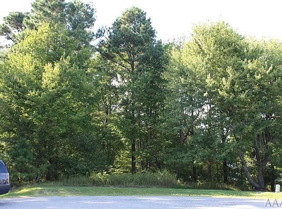 4th image of 104 Snow Creek Ct
