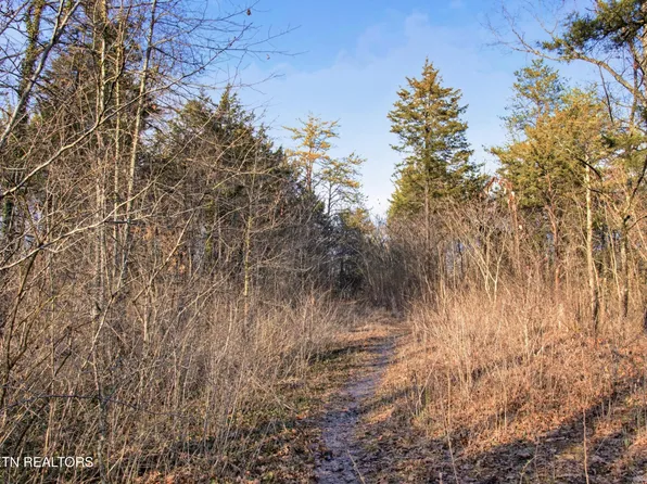 734 Hialeah Dr, Knoxville, TN 37920