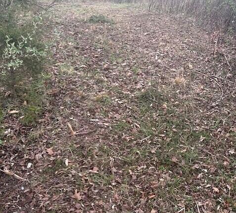 4th image of Sulphur Springs Rd