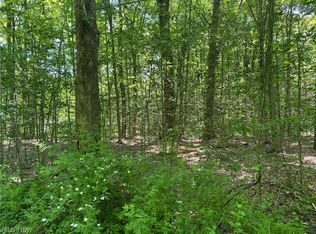 Winchell Rd, Mantua, OH 44255