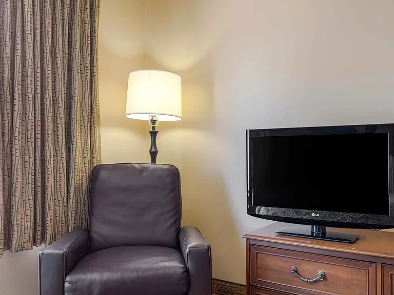 Studio Suite - 1 Queen Bed