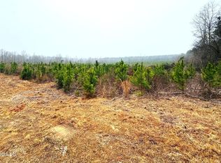 Sidney Ellzey Rd, Tylertown, MS 39667