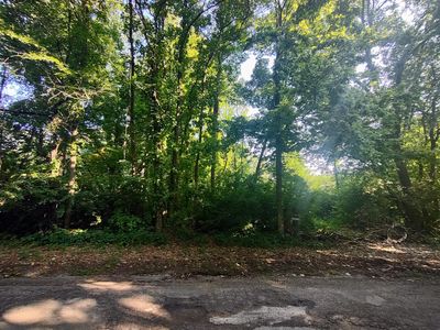 0 Chamberlain Rd, Buchanan, MI, 49107