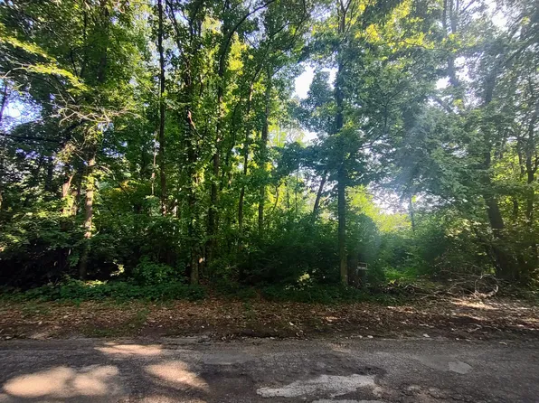 0 Chamberlain Rd, Buchanan, MI 49107