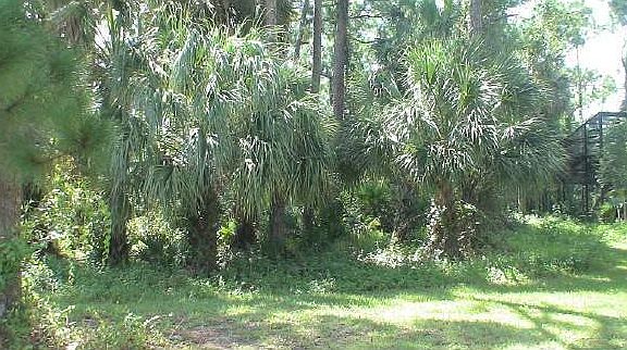 3rd image of 4735 Sugar Creek Dr
