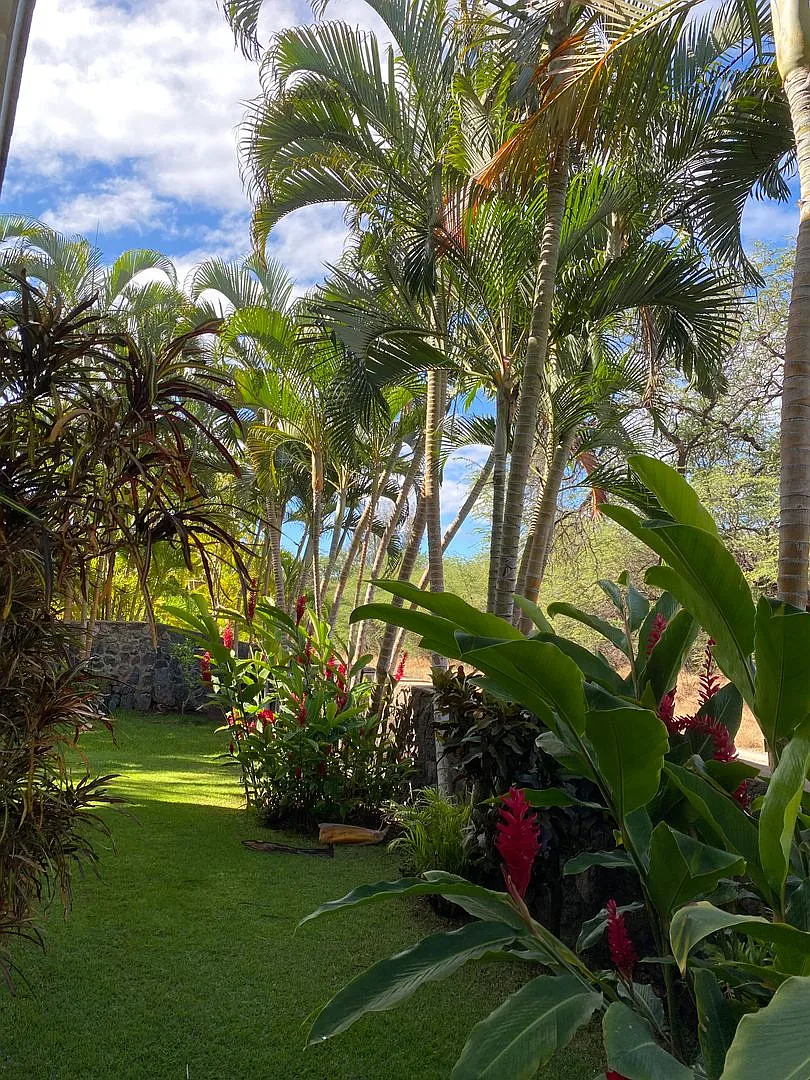 Tropical oasis — Photo 2