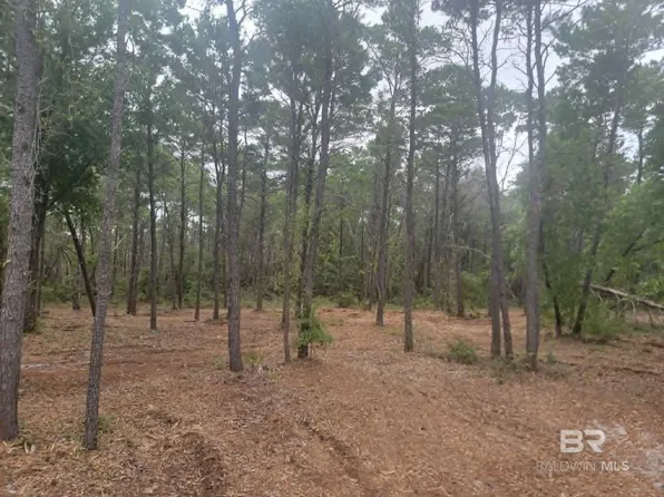 0 Primrose Ln, Gulf Shores, AL 36542