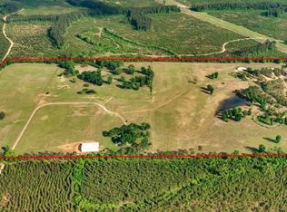 2441 Bill Hales Rd, Willis, TX 77378