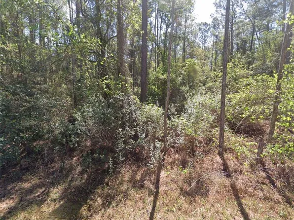 217 SE 2nd St #9, Georgetown, FL 32139