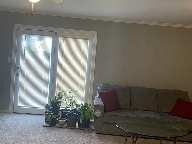 811 Pineland Dr — Photo 16