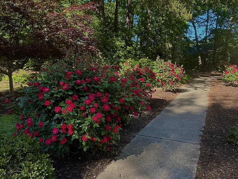 Flowers Walkway