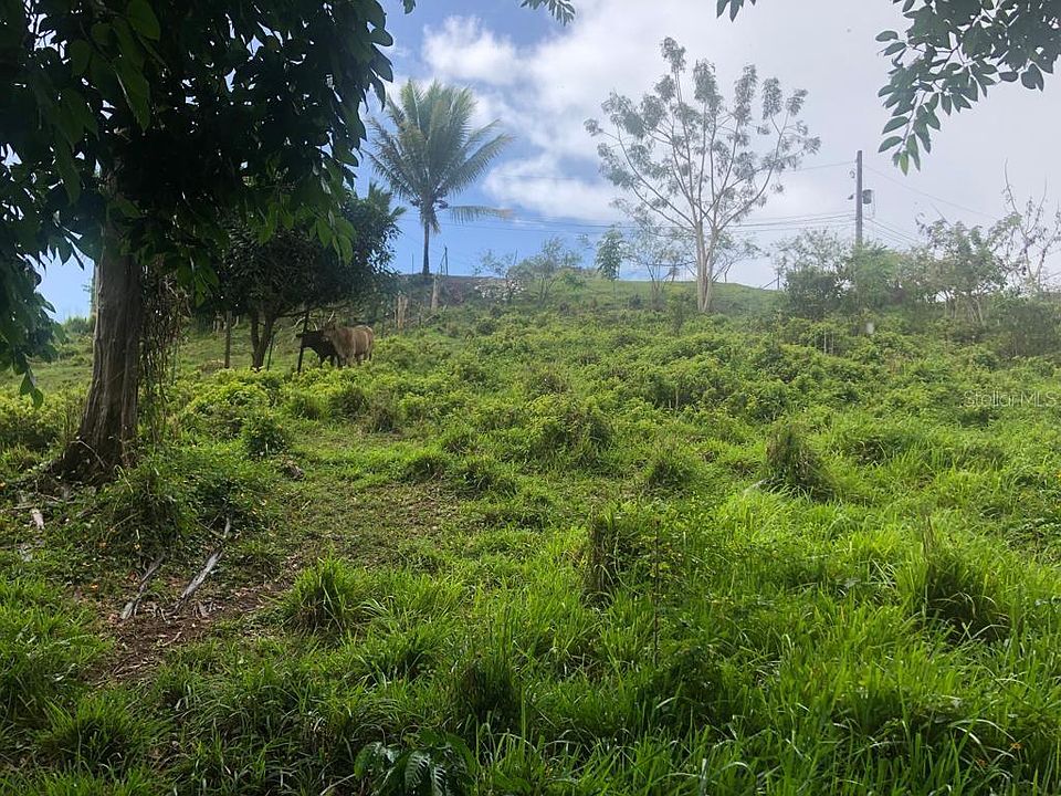 1st image of BO. QUEMADO SECTOR SALVATIERRA
