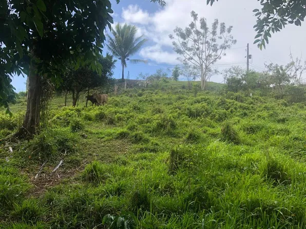 Bo Quemado Sector Salvatierra, San Lorenzo, PR 00754